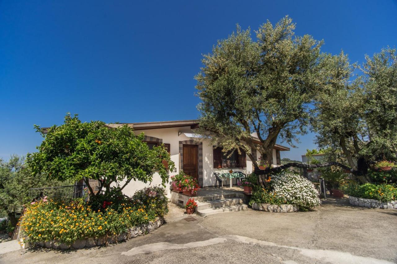 Villa Mattia In The Land Of Sirens SantʼAgata sui Due Golfi Екстериор снимка