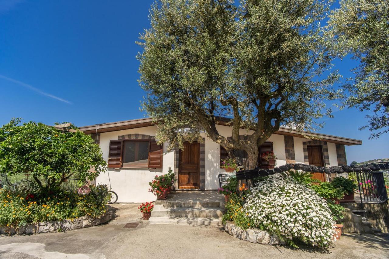 Villa Mattia In The Land Of Sirens SantʼAgata sui Due Golfi Екстериор снимка